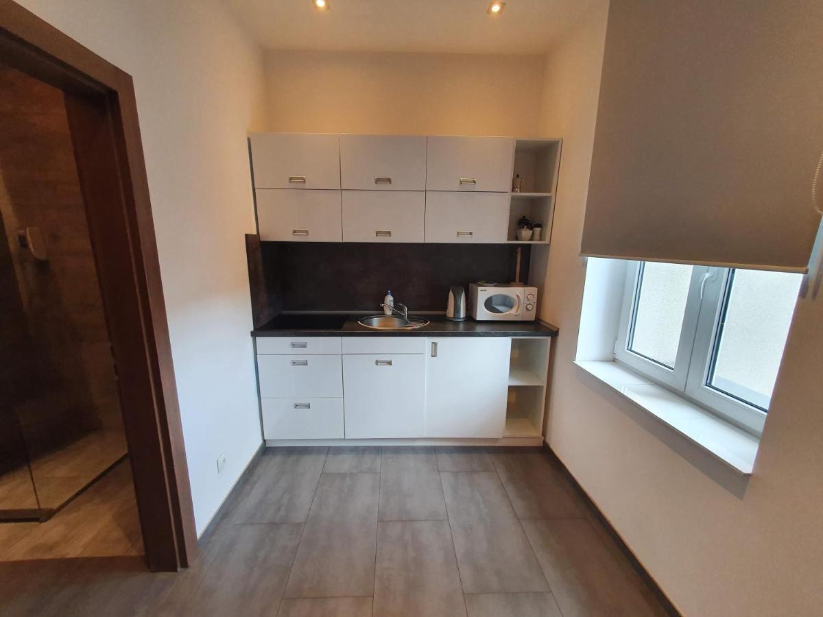 Apartamenty Mlynska 4 Gliwice Exterior foto